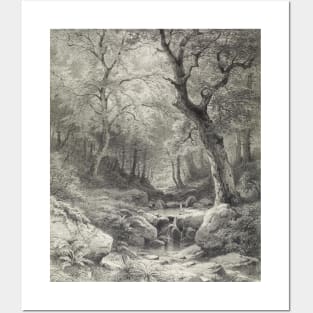 Forest Scene Pencil Illustration Posters and Art